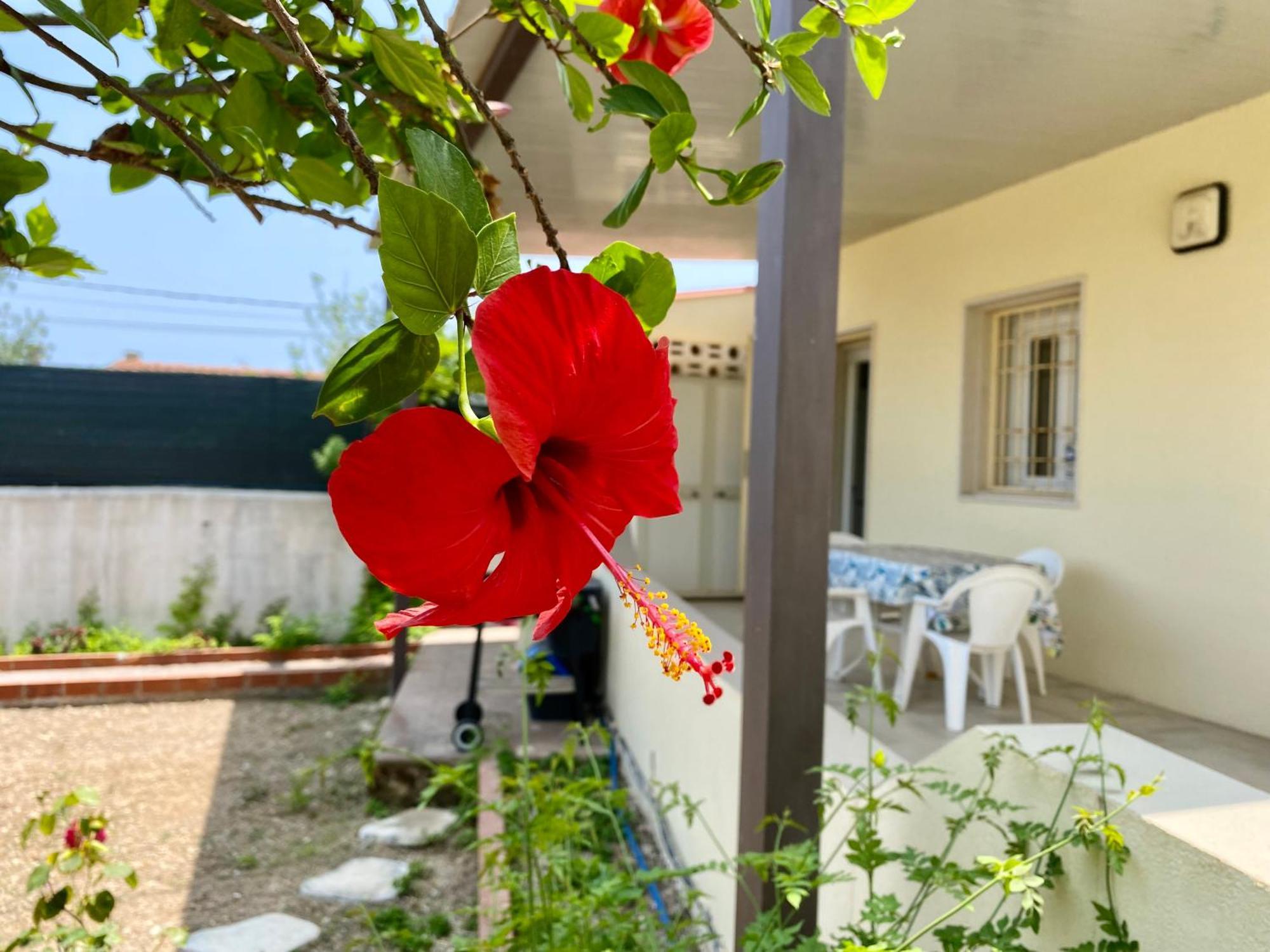 קלברנרדו Viviholiday מראה חיצוני תמונה